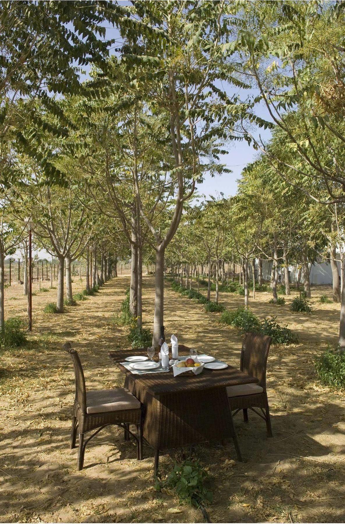 The Greenhouse Resort Pushkar Exterior foto